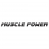 Muscle Power Partner Glute Ham Developer MP506  MP506
